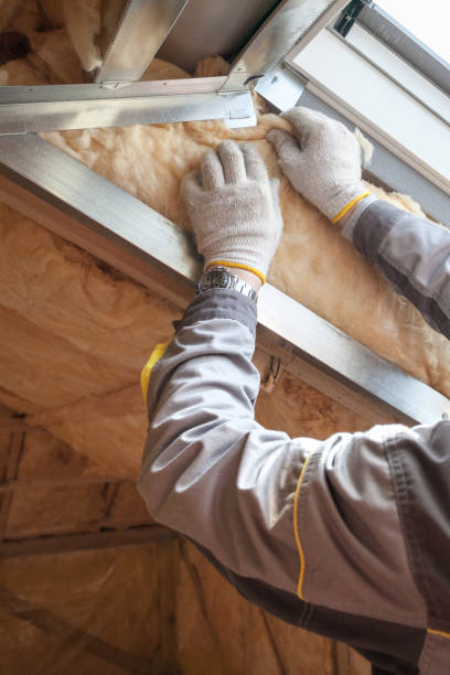 Best Residential Insulation in Kenai, AK